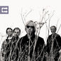 Tom Petty- Echo