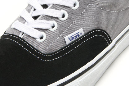 Skate Era